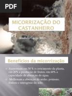 Metodos de Propagaao