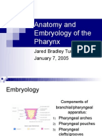 Anatomy and Embryology of The Pharynx1