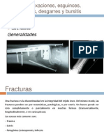 Equipo 1 - Generalidades Lesiones Sistema Musculoesquelético