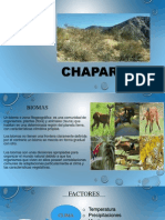 Chaparral Diapo