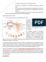 IMPLANTACION Embiogenesis y Desarrollo Fetal