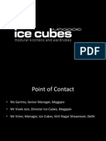 Icecubes - Case Study - Group 10