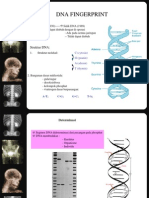 Sidik Dna