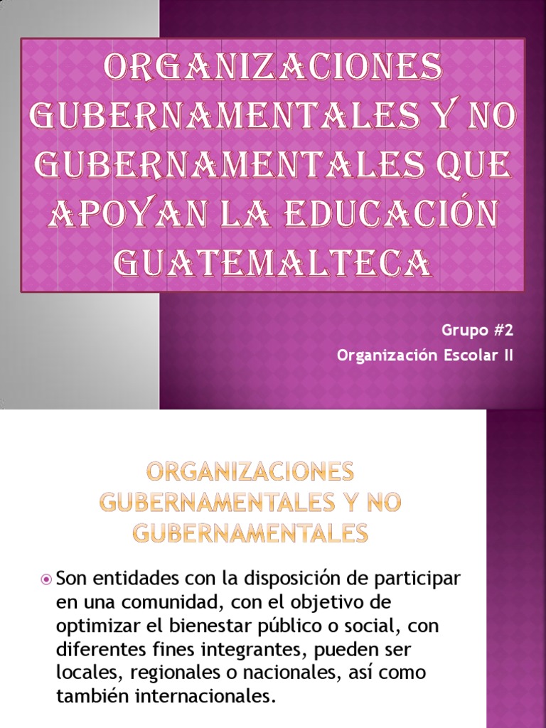 Organizaciones Gubernamentales y No Gubernamentales Que Apoyan La Organización no gubernamental