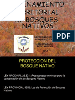 1°Taller_Ordenamiento_Territorial_Bosques_Nativos
