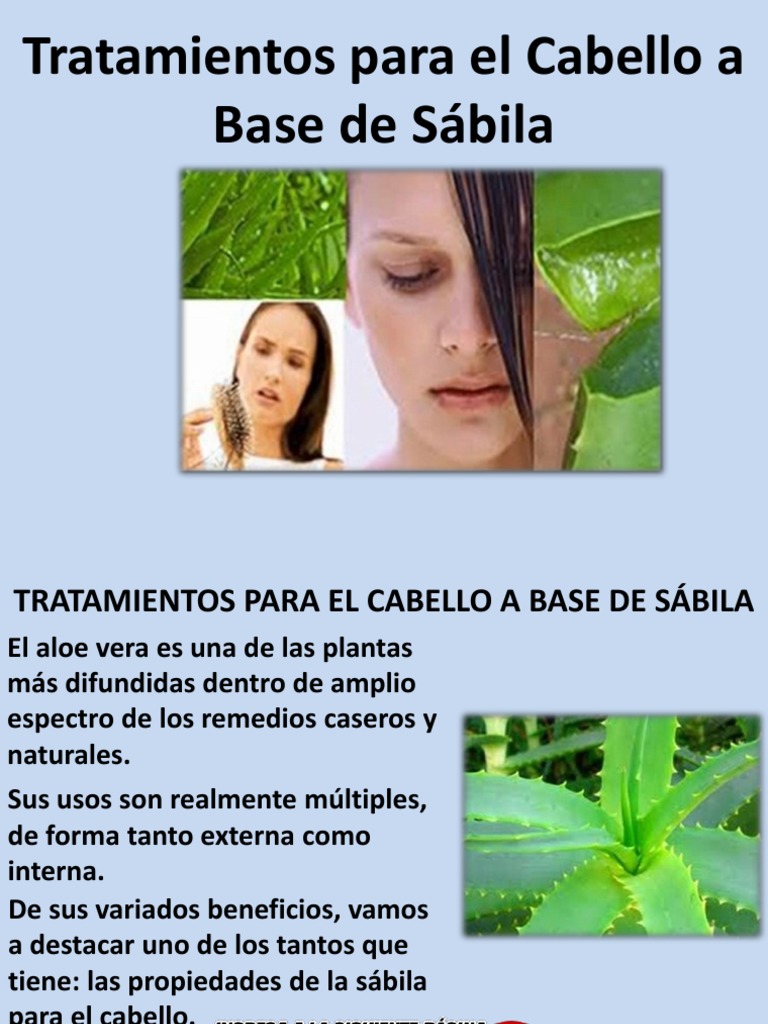 Tratamientos Para El Cabello A Base De Sabila