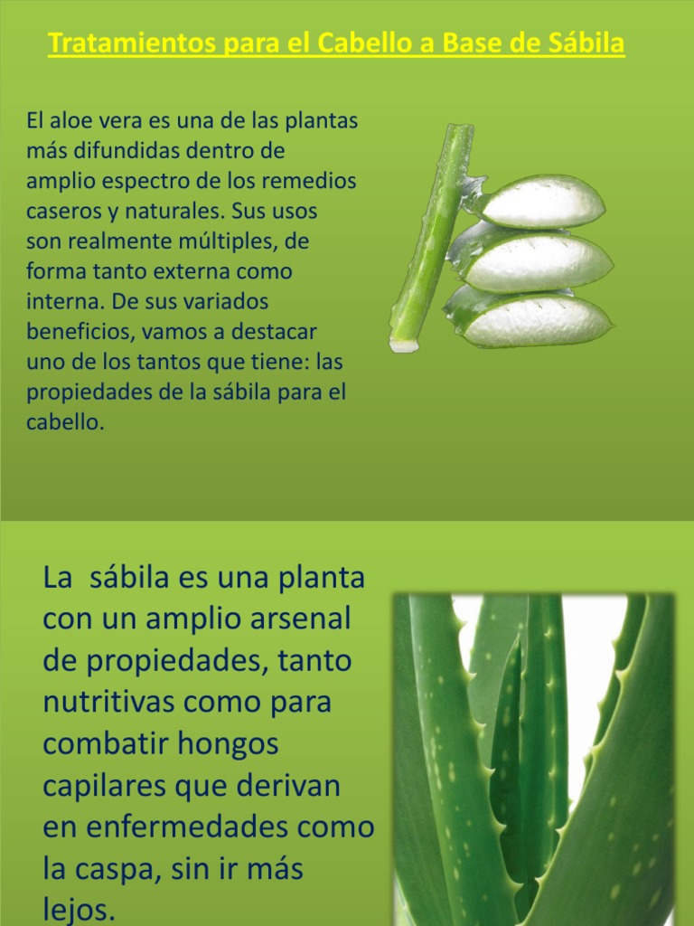 Tratamientos Para El Cabello a Base de Sábila Champú Pelo