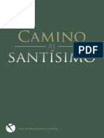 Camino Santisimo