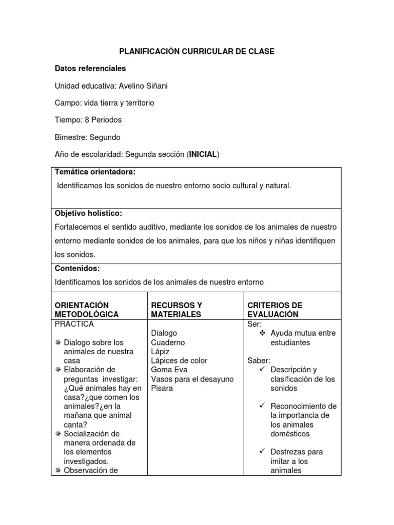 Planificación Curricular de Clase | PDF | Plan de estudios | Cognición