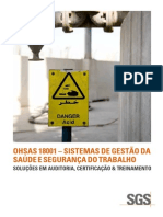 Sgs Br Ohsas18000 Pt 11