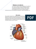 Sistemas Del Cuerpo Humano