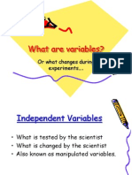 What Are Variables