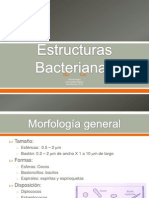1. Estructuras Bacterianas