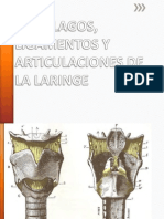 Cartílagos, Ligamentos y Articulaciones de La Laringe