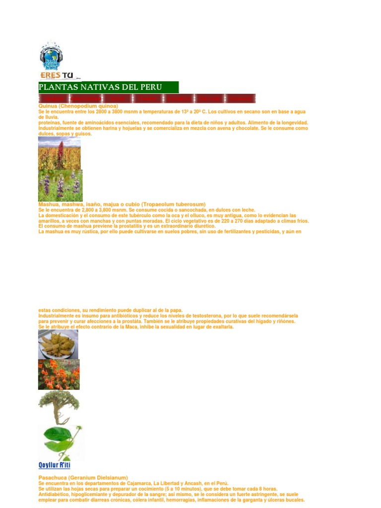 QU PLANTAS NATIVAS HAY EN TU LOCALIDAD PER visual data 7