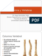 76710949 2 Columna y Vertebras Medula Espinal