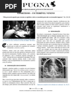PUGNA Espiritismo