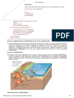 Rocas Sedimentarias 1