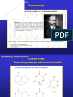 2.3.Nucleicos (3)