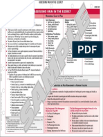 Assessing Pain in The Elderly: N C P K P