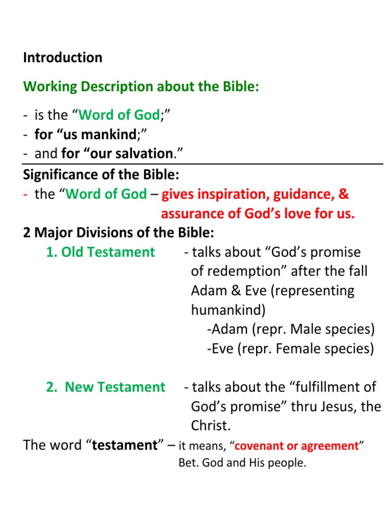 Overview of the Bible's Structure | PDF