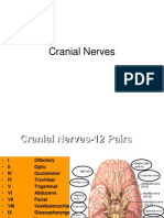 Cranialnerves For Paramedical