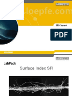 4 - Oberflächenindex SFI E