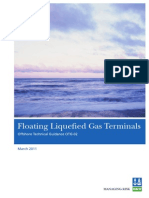 Floating Liquefied Gas Terminals