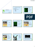 Clase 16 IFI - Autoinmunidad