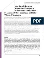 Unraveling Low-Level Gamma Radiation–Responsive Changes in Expression of Early and Late Genes in Leaves of Rice Seedlings at litate Village, Fukushima