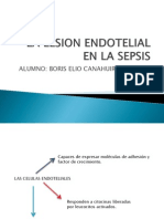 La Lesion Endotelial en La Sepsis