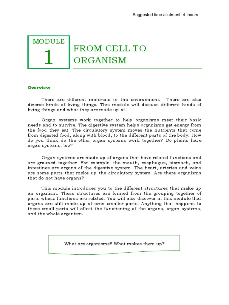 Levels of Organization in Organisms | PDF | Organ (Anatomy ...