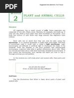 Download Qtr 2 Module 2 Plant and Animal Cells by Nick Bantolo SN236998102 doc pdf