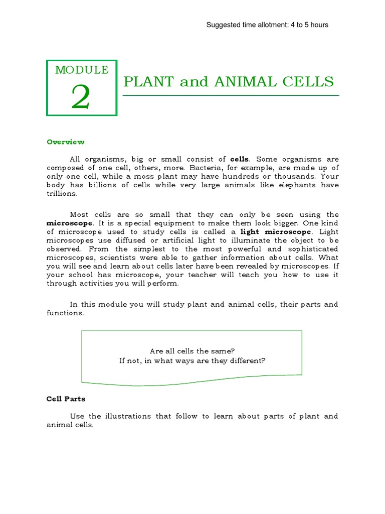 Plant and Animal Cells for Grade 7 | PDF | Vacuole | Eukaryotes