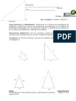 Tarea de Semejanza