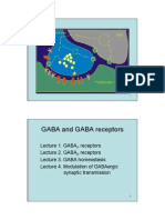 Gaba