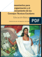 1. Lineamientos Para La Organizacion y Funcionamiento de Los Consejos Tecnicos Escolares EduBasica