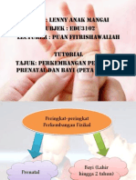 Peta I-Think (Prenatal & Bayi)