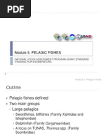 Module 05 Common Pelagic Fish Species-Gina-Jean