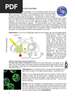 Lab 10 Algae and Land Plants