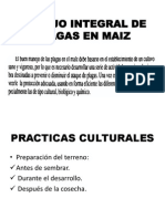 Manejo Integral de Plagas en Maiz Mayo