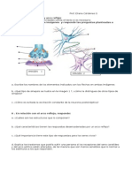 Biologia Tercero C