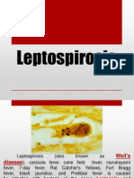 Lepto Spiros Is