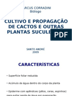 Cactos e Suculentas PDF