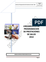 Lineamientos de Programación 2014 GCPS EsSalud 20dic2013