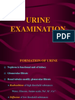 Urine Examination