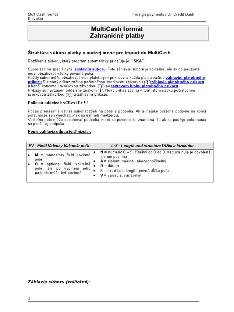 MultiCash Format Import Foreign Payments SKA SJ | PDF