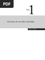 Em Busca de Um Olhar Articulado