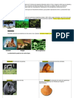 Clasificación de Los Seres Vivos