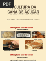 A Cultura Da Cana
